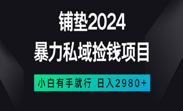 《暴力私域捡钱项目》-副业社