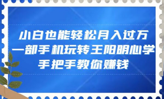 王阳明视频项目-副业社