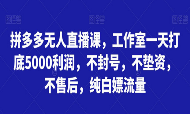 《拼多多无人直播打底5000不封号》-副业社