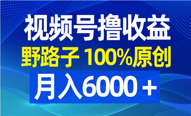 视频号野路子撸收益-副业社