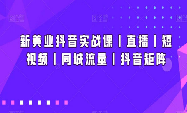 新美业抖音实战课-副业社