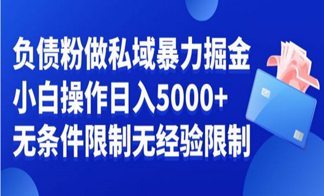 负债粉私域暴力掘金-副业社