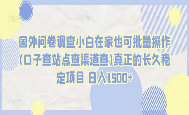 国外问卷调查小白在家也可批量操作，真正的长久稳定项目，日入四位数-副业社