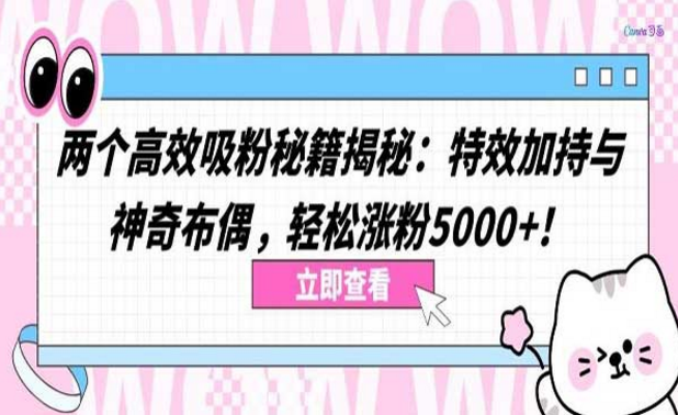 两个高效吸粉秘籍揭秘：特效加持与神奇布偶，轻松涨粉5000+-副业社