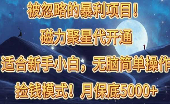 被忽略的暴利项目，磁力聚星代开通捡钱模式，新手小白无脑操作-副业社