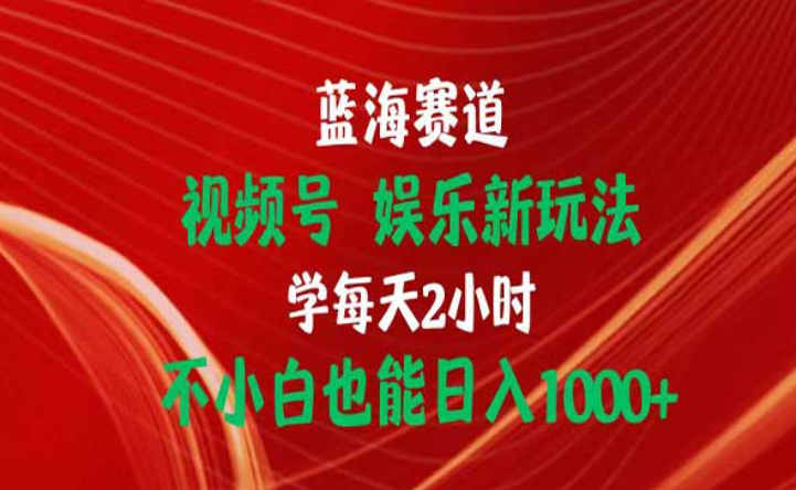 蓝海赛道视频号娱乐新玩法，每天学习2小时，小白也能日入1000+-副业社